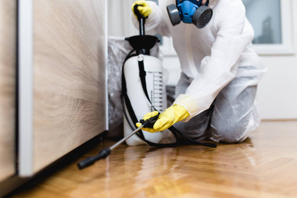 Best Wasp Removal Services  in Ardmore, AL