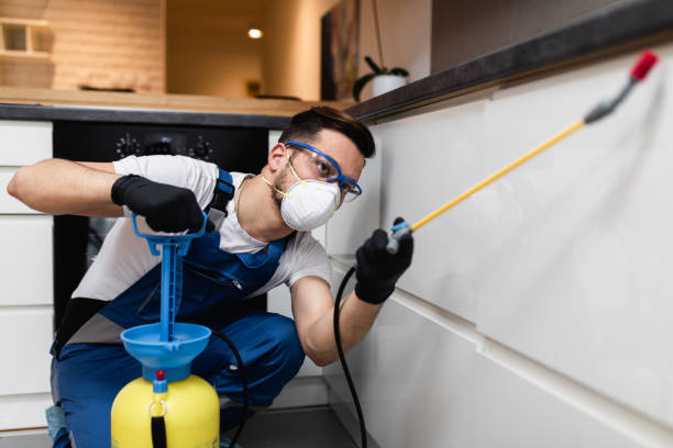 Best Emergency Pest Control  in Ardmore, AL
