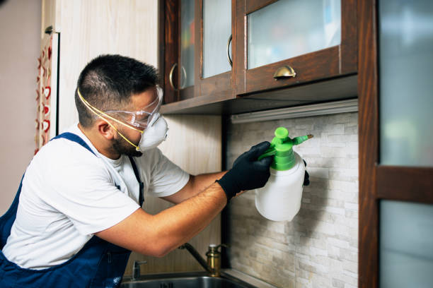 Best Commercial Pest Control Services  in Ardmore, AL