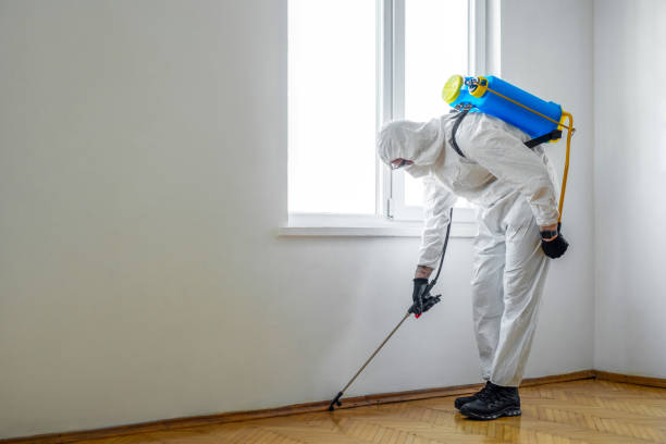 Professional Pest Control in Ardmore, AL