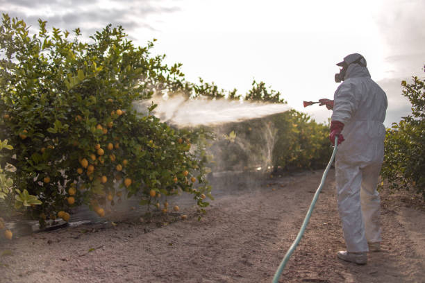 Best Pest Removal Services  in Ardmore, AL